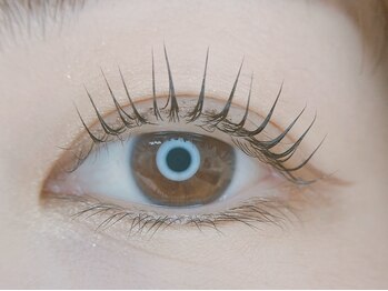 セレンディピティ(Serendipity)/まつ毛パーマ