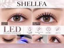 シェルファ(SHELLFA)