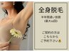 【回数券】全身脱毛／半年間通い放題