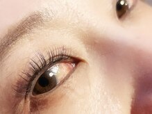 クロエ(Chloe)/フラットラッシュ☆付け放題☆