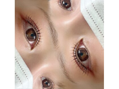 アイリス(iRIS)の写真