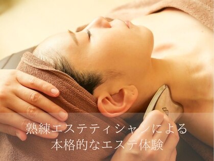 ロータス(LOTUS)の写真
