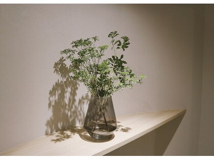 ソノ(sono)の写真