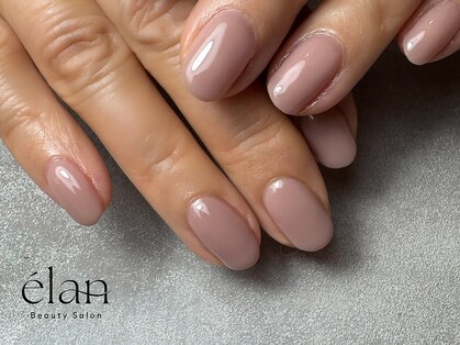 エラン(elan)の写真