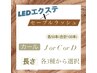 LED対応《セーブルorフラットラッシュ》合計100本