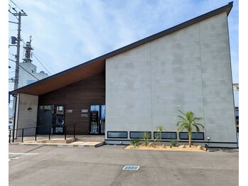 スターチス(Statice)/外観