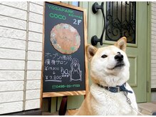 ヨサパーク ココ ケヤキテン 本庄けや木店(YOSA PARK COCO)の雰囲気（看板犬のぴこちゃん★※苦手であれば会わないようにできます◎）