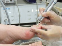 開業以来、本物を求めて道内各地からご来店。