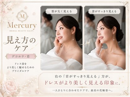 ボルテージ マーキュリー 湯島本郷店(Voltage Mercury)の写真