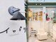 イロドリ(eyesalon)の写真