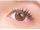 アイラッシュ クリッシー 渋谷店(Eyelash Chrissie)の写真