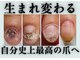ヴェールリム(verl lim)の写真