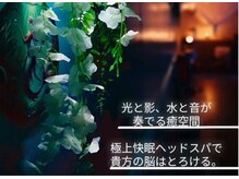モナと雲と楽/光と影、水と音が奏でる癒空間