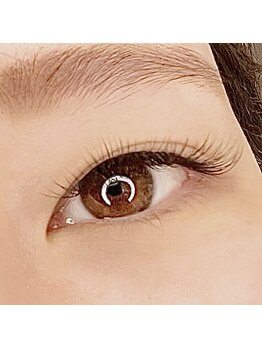 シロップフロール(syrup-flor)/メガフラットラッシュ 60束