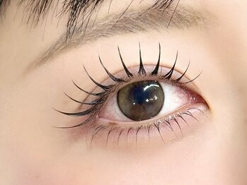 ゼム(THEM)/アンドヘルシー120本