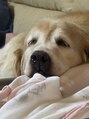 宮町鍼灸整骨院&nbsp;実家で犬を飼っています！
