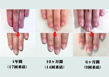 ヴェールリム(verl lim)
