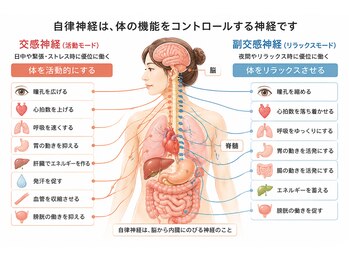 エニシ(縁)/自律神経の働き