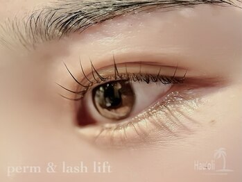 ハウオリ 高津 溝の口(Hauoli)/ラッシュリフト&アイブロウ(Wax)