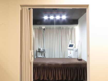 サファリ(Safari)の写真