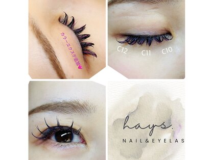 ヘイズ(hays.)の写真