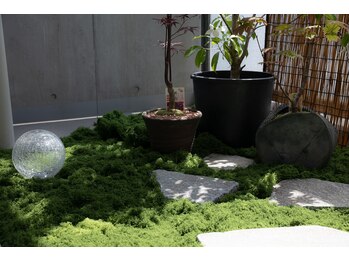 癒し処 利休 堀江店/応接間の庭