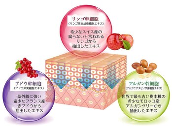 ブルーム 相模原店(Bloom)/