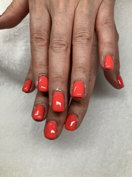 オランダエステティック(Holland Esthetics)/ワンカラー