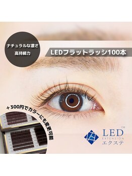 フレイヤ 大元店(Freiya)/【LED】フラット100本