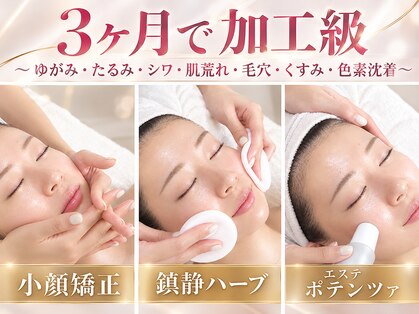 ノア 新宿(Noa)の写真