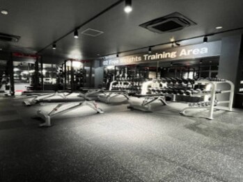 フィットネクスト ニジュウヨン(Fit Next 24)