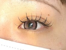 ラシク ベル(Lashiku Belle)/フラットラッシュ