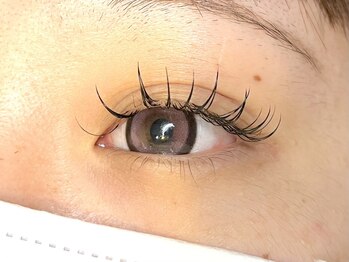 ラシク ベル(Lashiku Belle)/フラットラッシュ