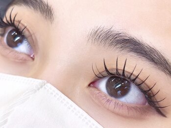 リトル(Litll)/フラットラッシュ120本