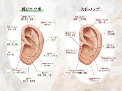 スマイルギフトアイリスの写真