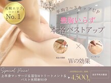 アンシャンテ(ENCHANTER)