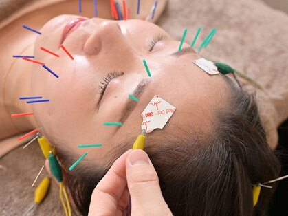 ハリスパ 堀江院の写真