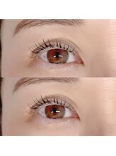 カメリア(Camellia)