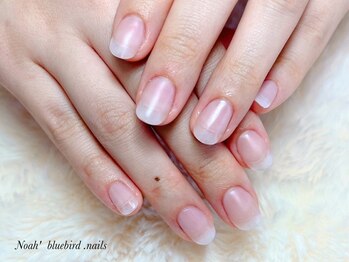 ノアブルーバードネイルズ(Noah' bluebird .nails)の写真/お悩みの方必見《深爪・噛んでしまう・貝爪さんに♪》自爪育成ケアで健やかな爪を育てて自信もGet★