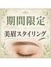 【8月限定Jrクーポン】美眉スタイリング¥3,000