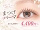 シロアイラッシュ(shiro.eyelash)の写真