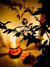 アンジール(ANJIR)/