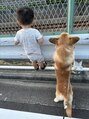 マツゲエクステサロン ミュータ(MYu-Ta)&nbsp;孫と息子家族の愛犬と一緒に散歩中の一コマ