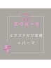 【エクパーマ】LEDフラットラッシュ付け放題（アイシャン＋コーティング付）