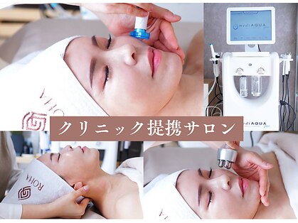 ローハ(ROHA)の写真