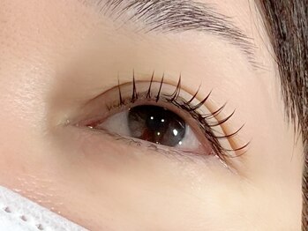 トリコ(torico.)/eye lash