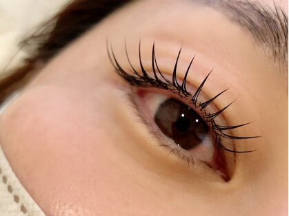 リエット(Lieto)の写真