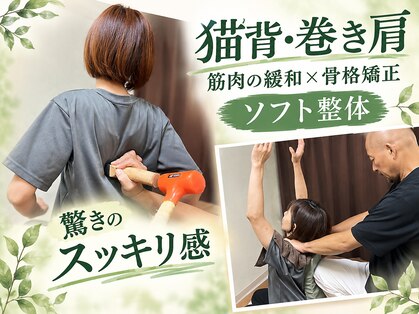 ヴェール(VERT)の写真