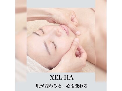 シェルハ(XEL-HA)の写真