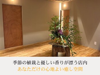 ソルム(solmu)/